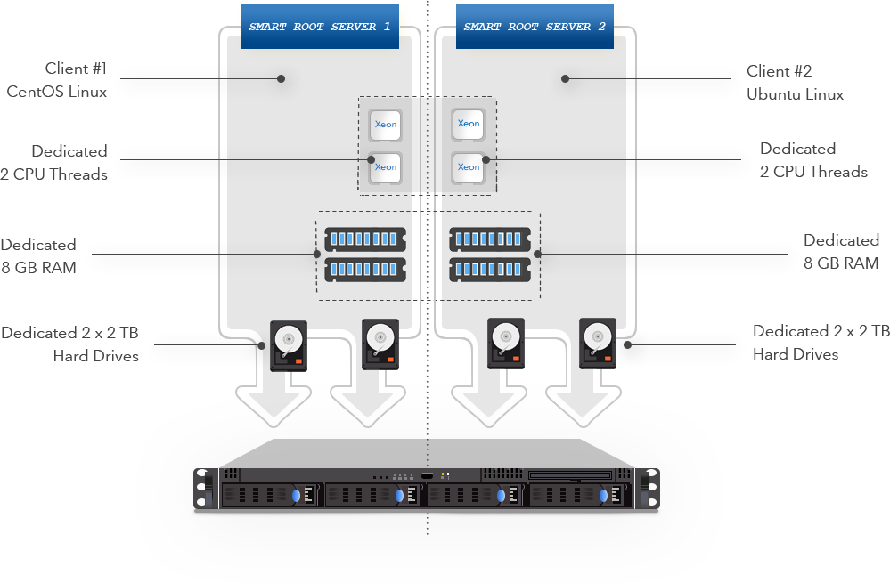 smart root Server